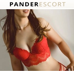 pander-escort.jpg